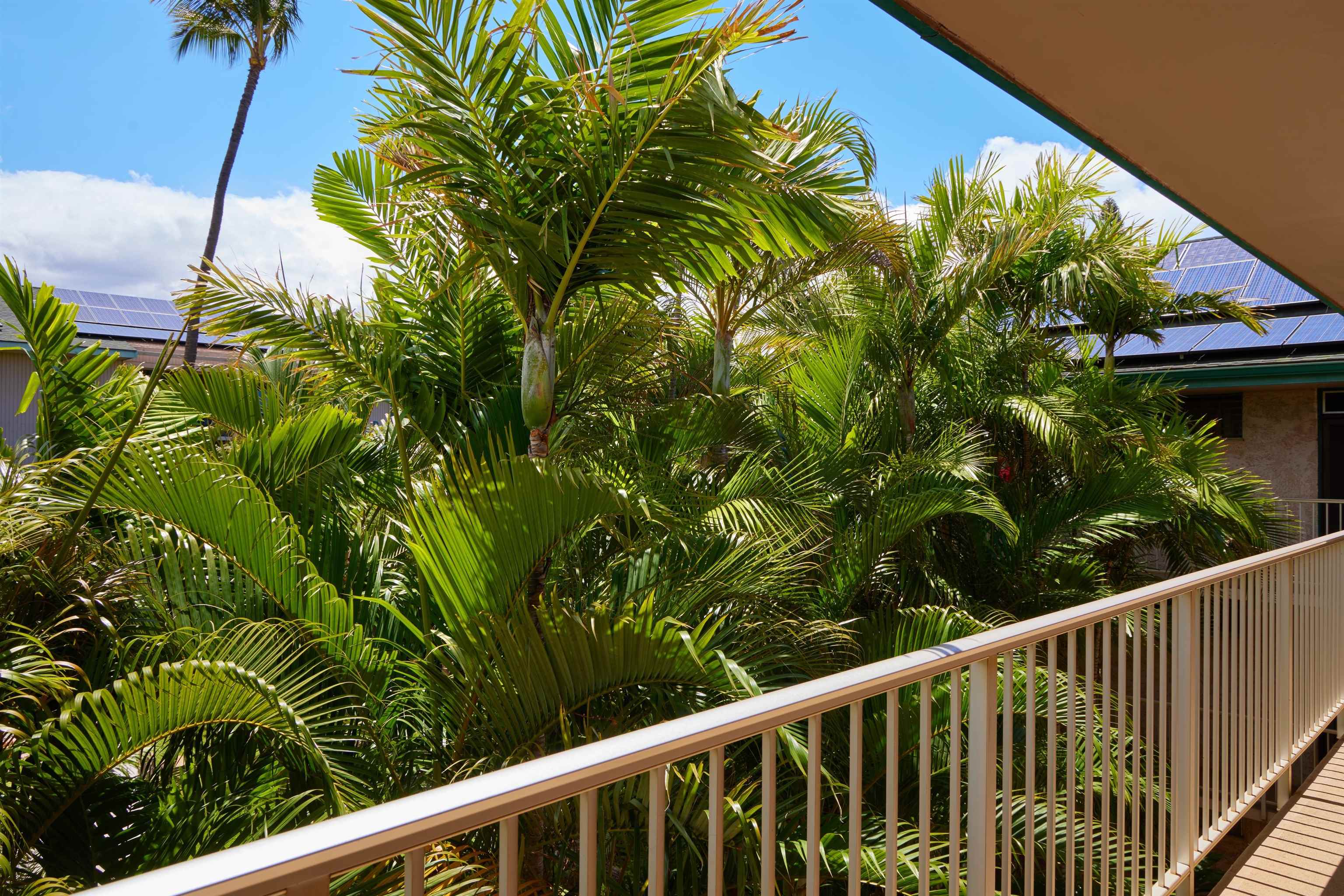 35 Walaka St Unit L306