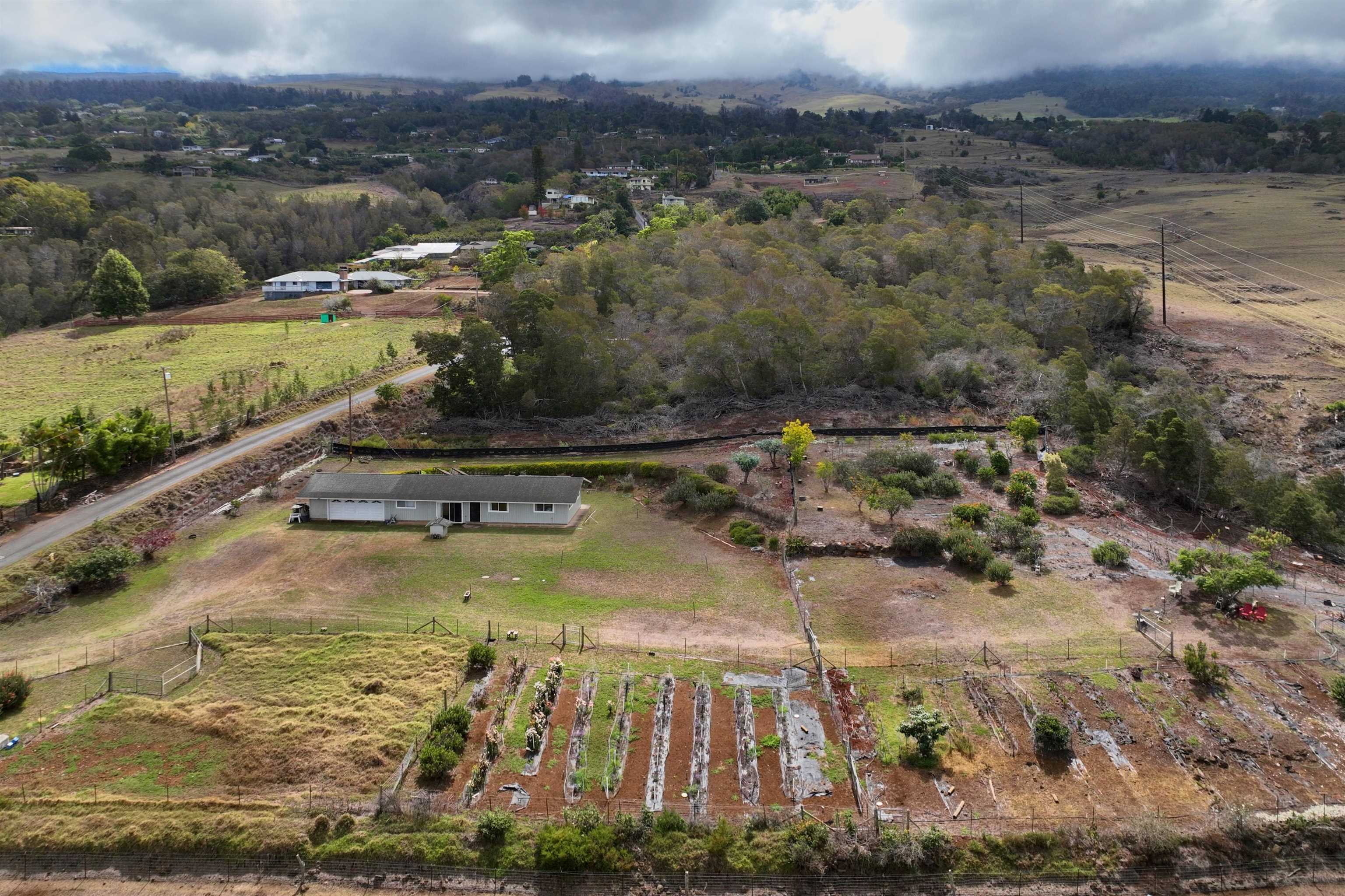 785 Kamehameiki Rd