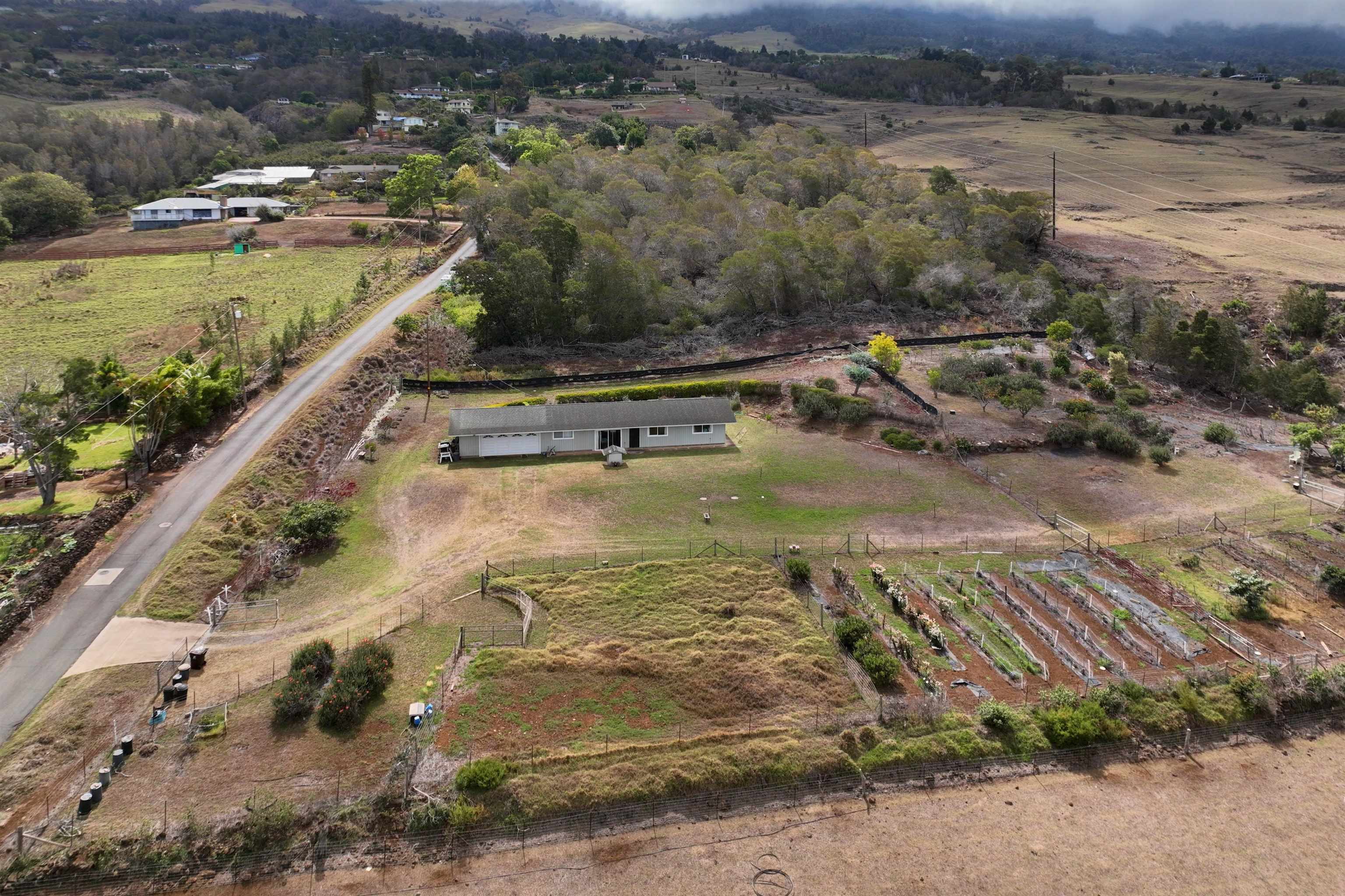 785 Kamehameiki Rd
