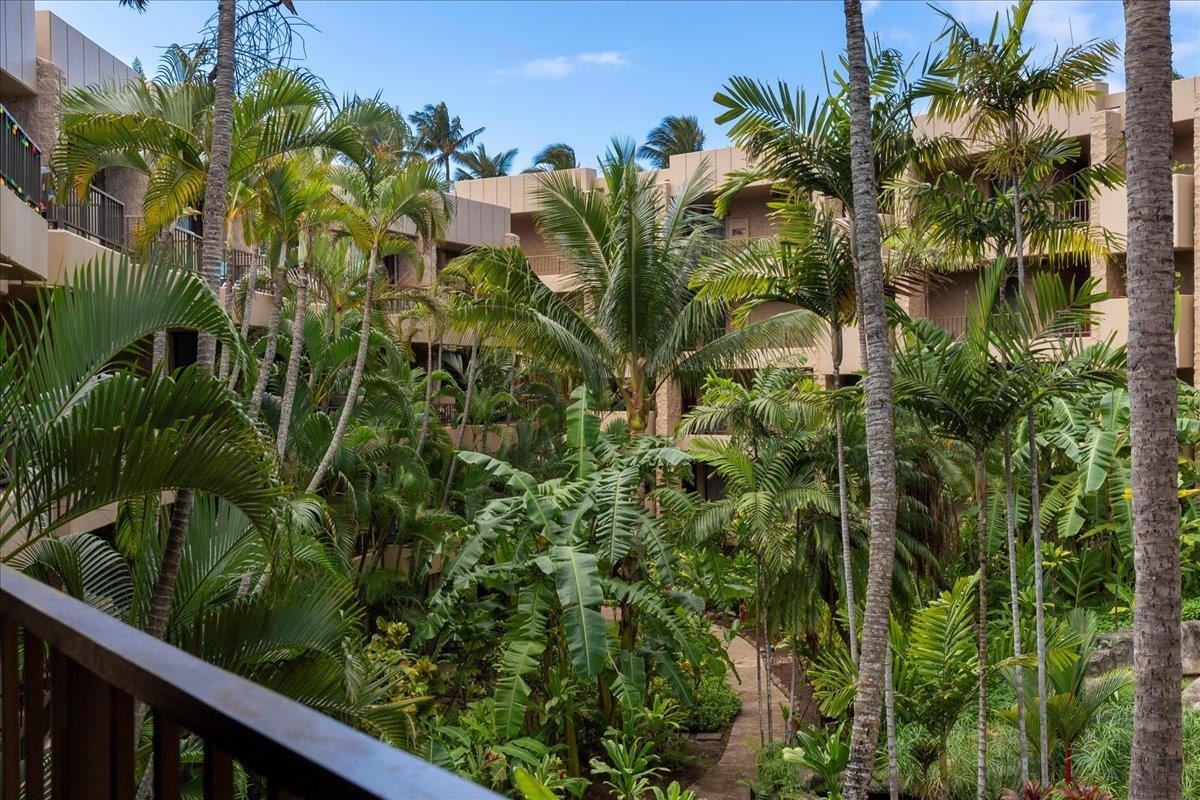3601 Lower Honoapiilani Rd Unit: 320