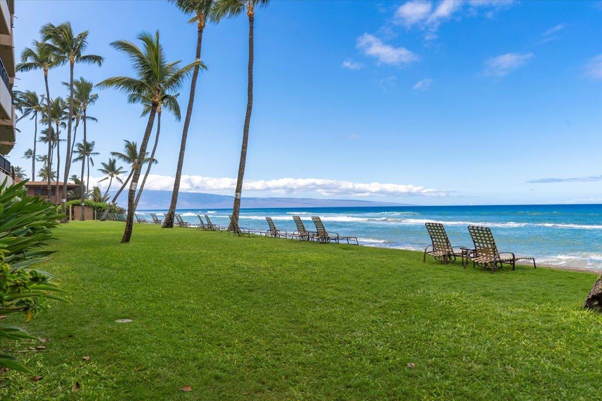 3601 Lower Honoapiilani Rd Unit: 320