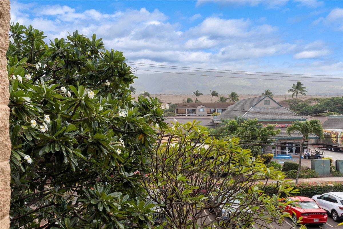 3601 Lower Honoapiilani Rd Unit: 320