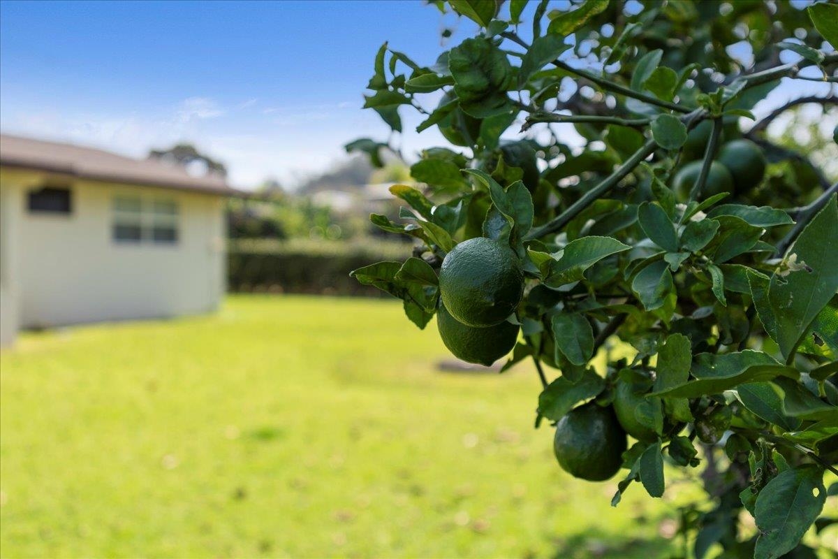 3524 Burns Pl Unit: Lot 10