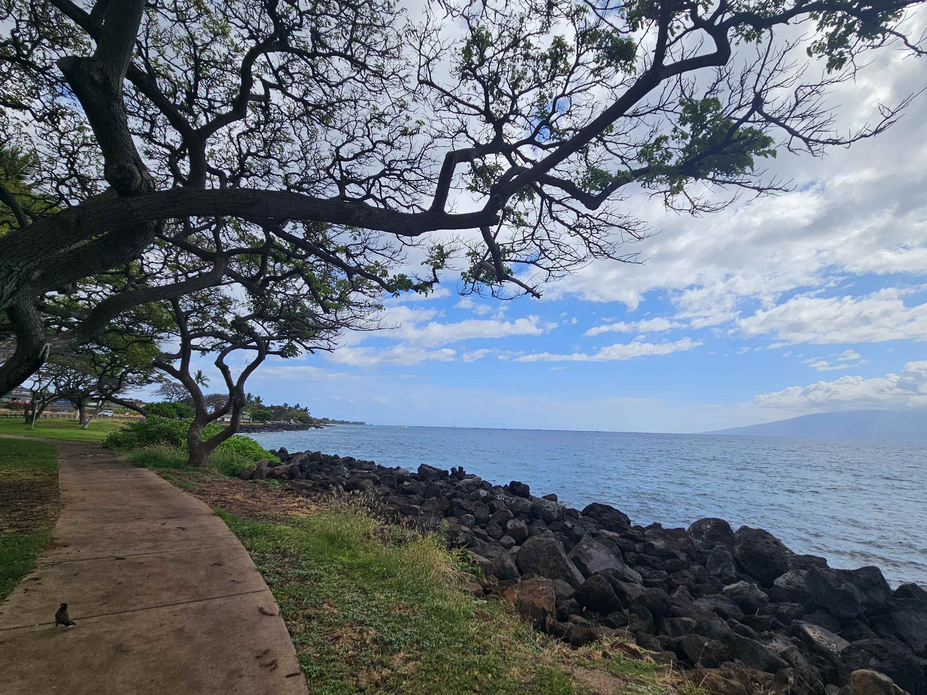 1640 Ku'uipo St
