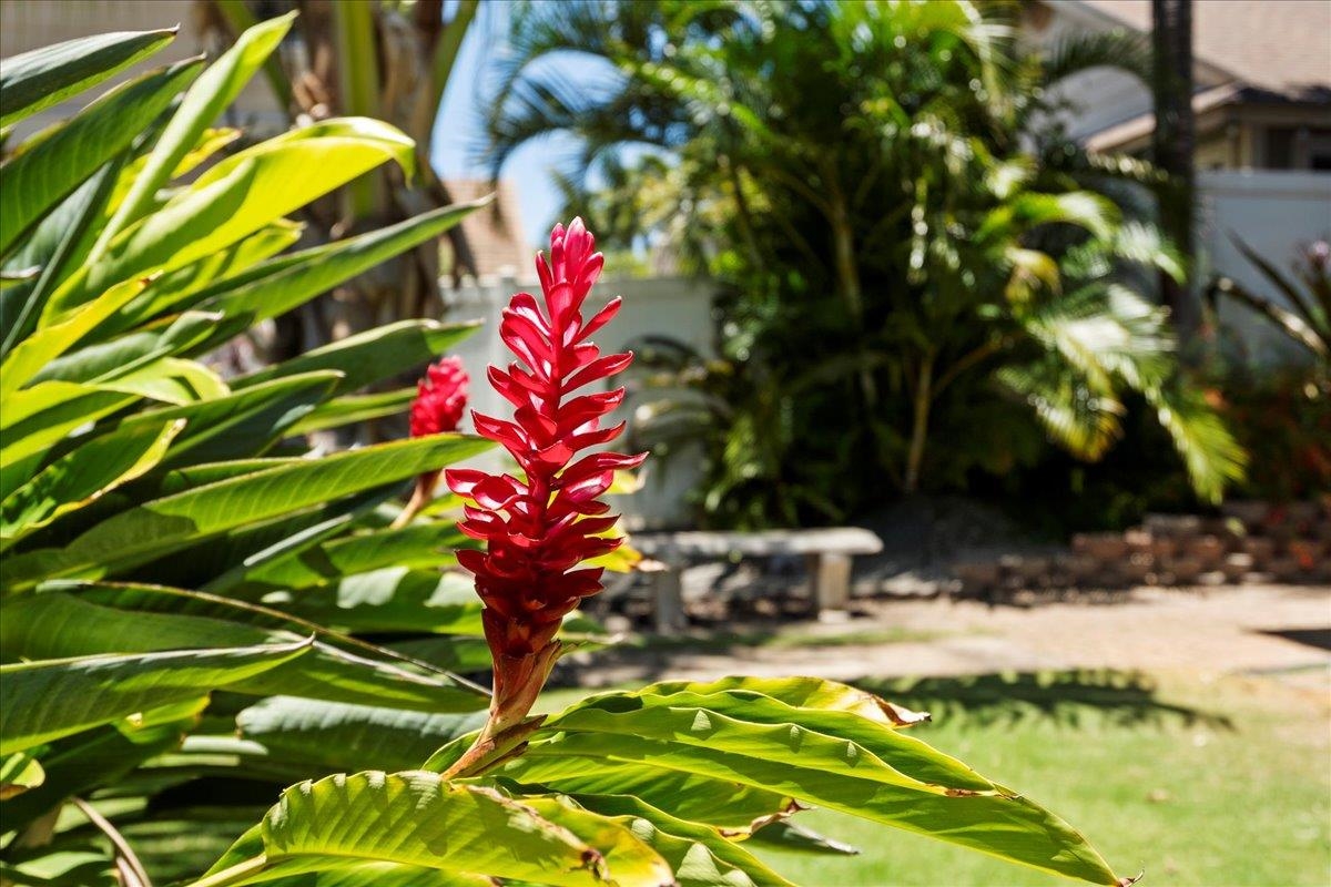 58 Molehulehu Loop Unit: Lot 117