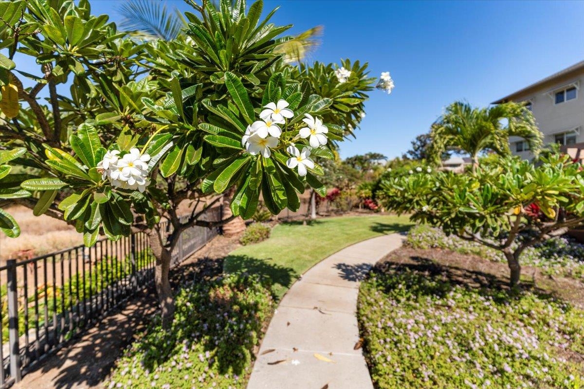 45 Kanani Rd Unit: 204