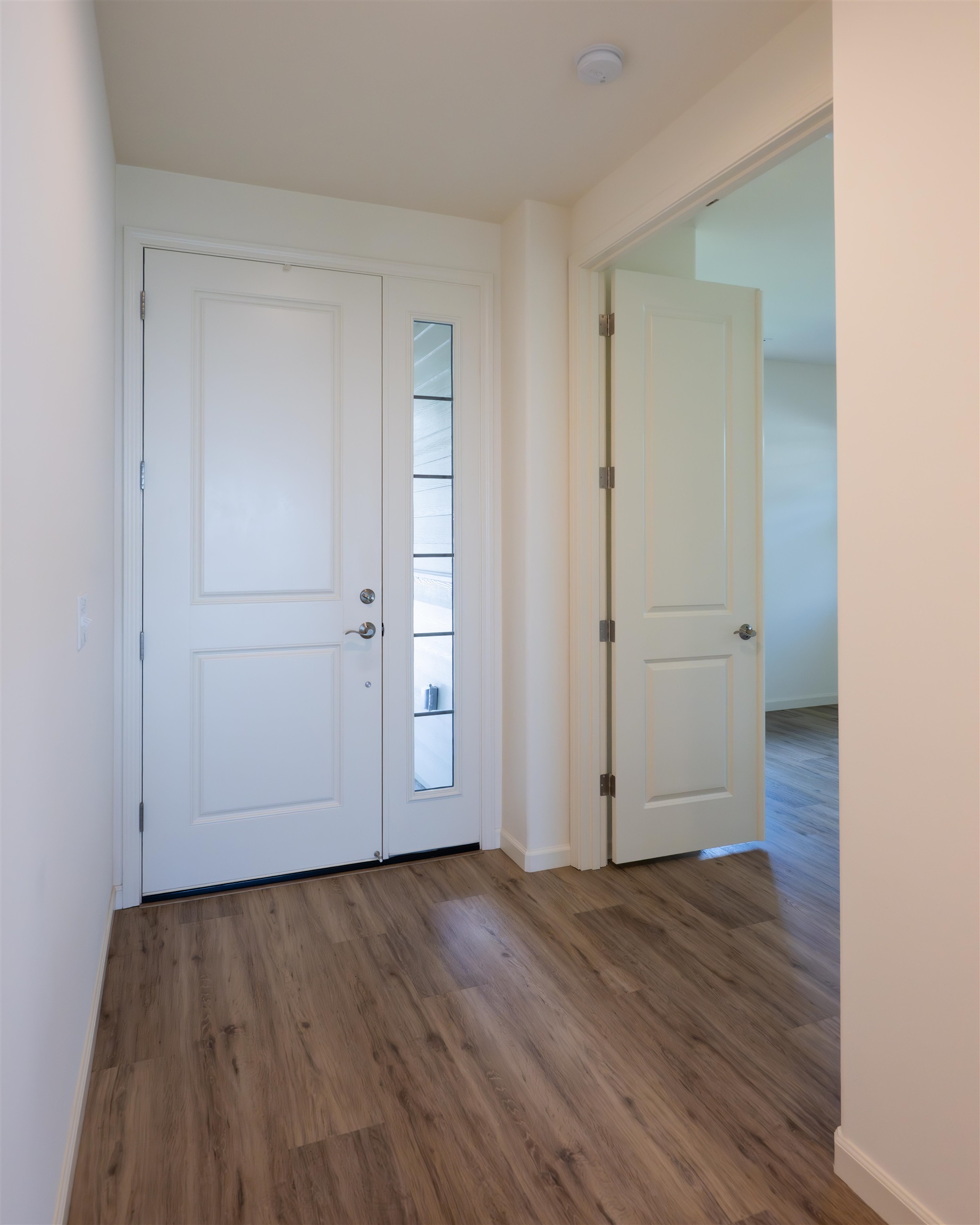 295 Pua Kalaunu Loop