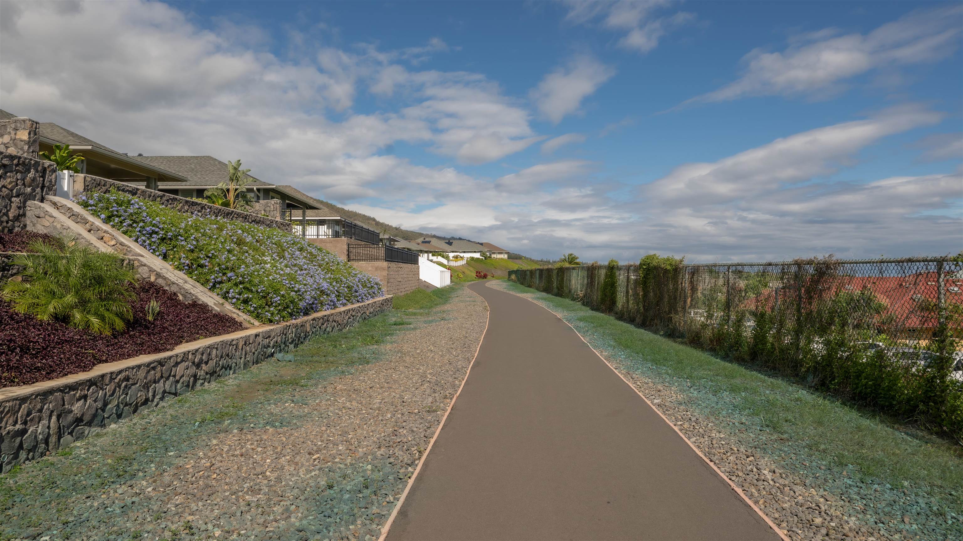 295 Pua Kalaunu Loop