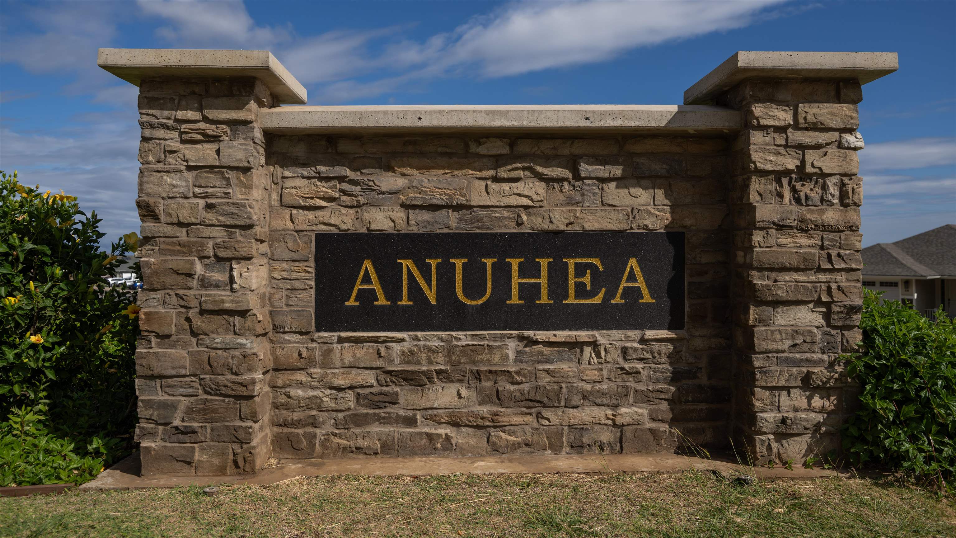 295 Pua Kalaunu Loop