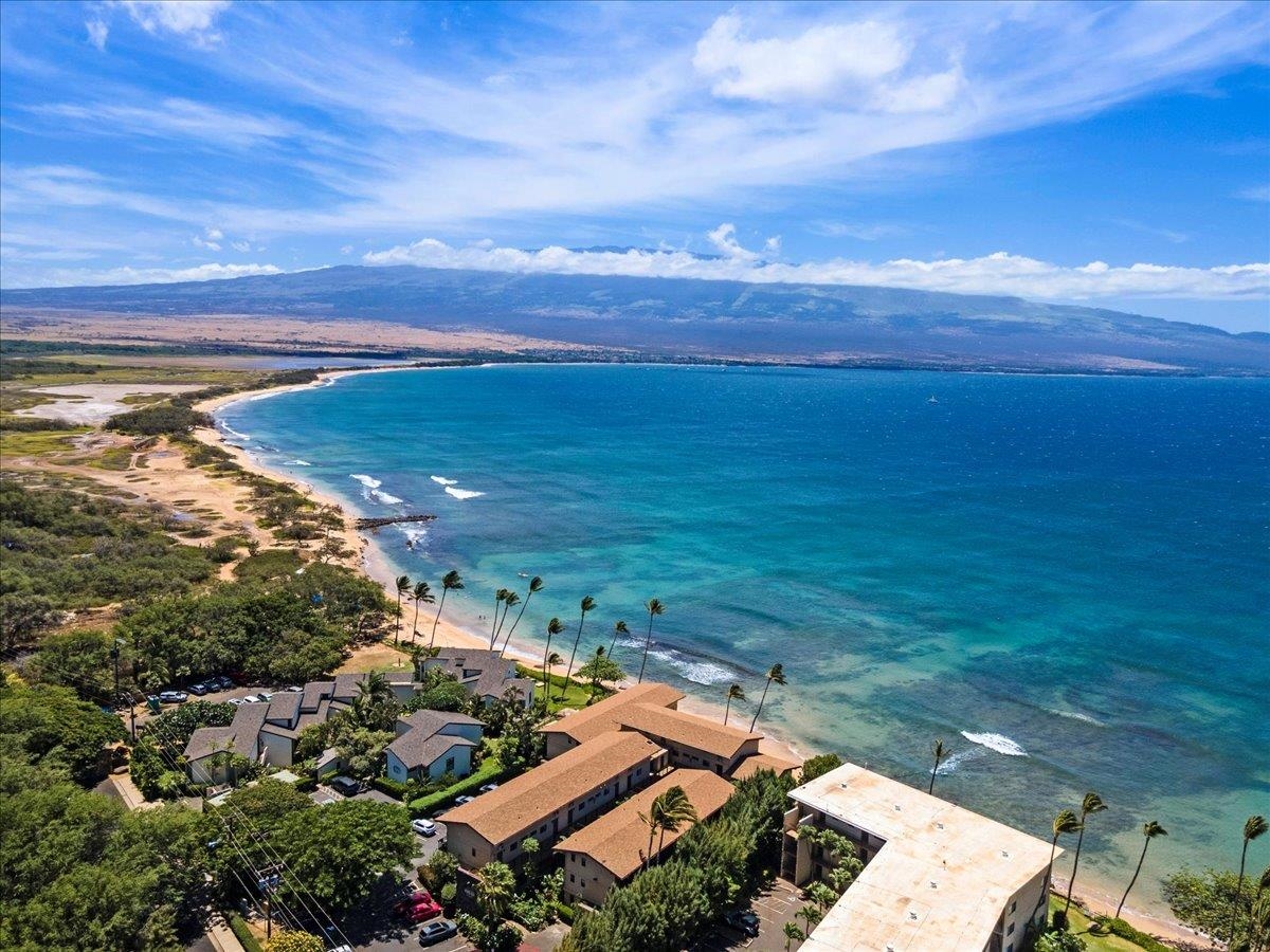 280 HAUOLI St Unit: B-17