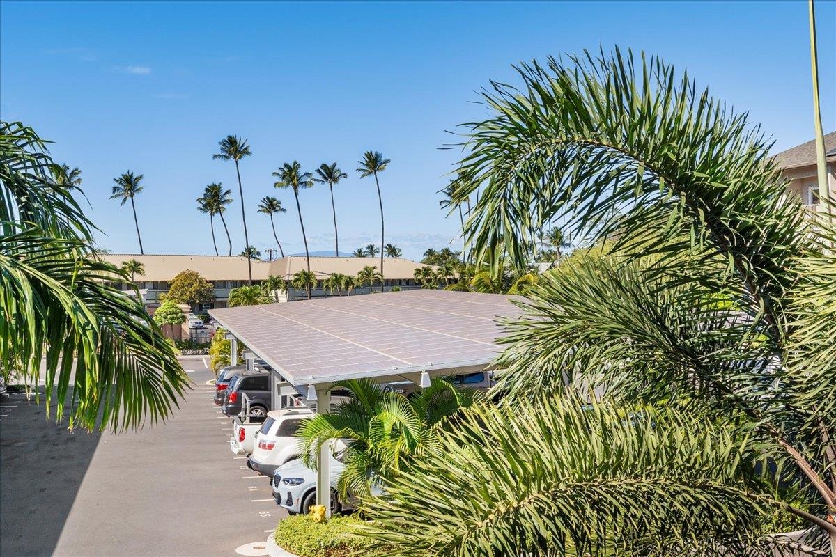 45 Kanani Rd Unit: 204