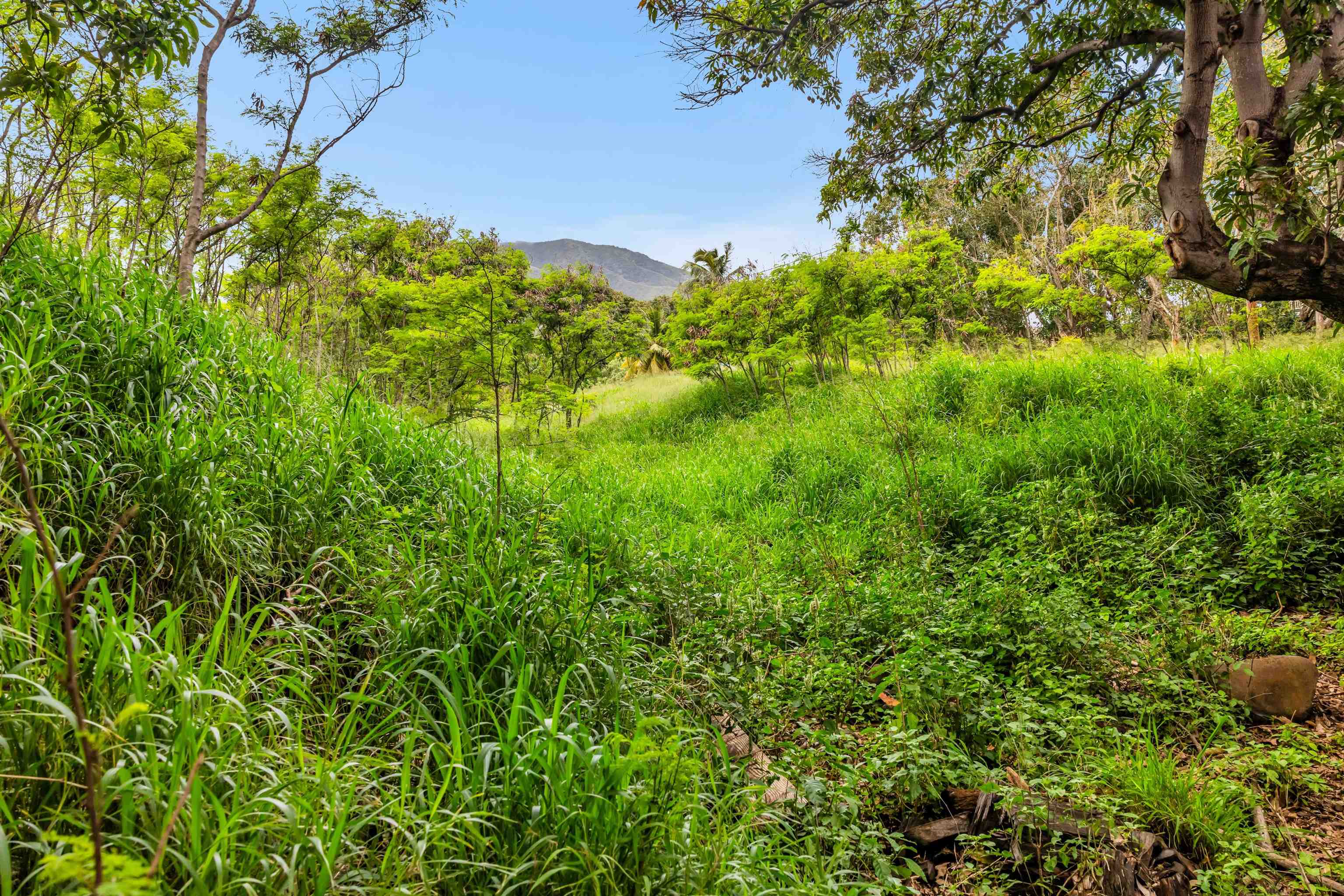 1482 Honoapiilani Hwy
