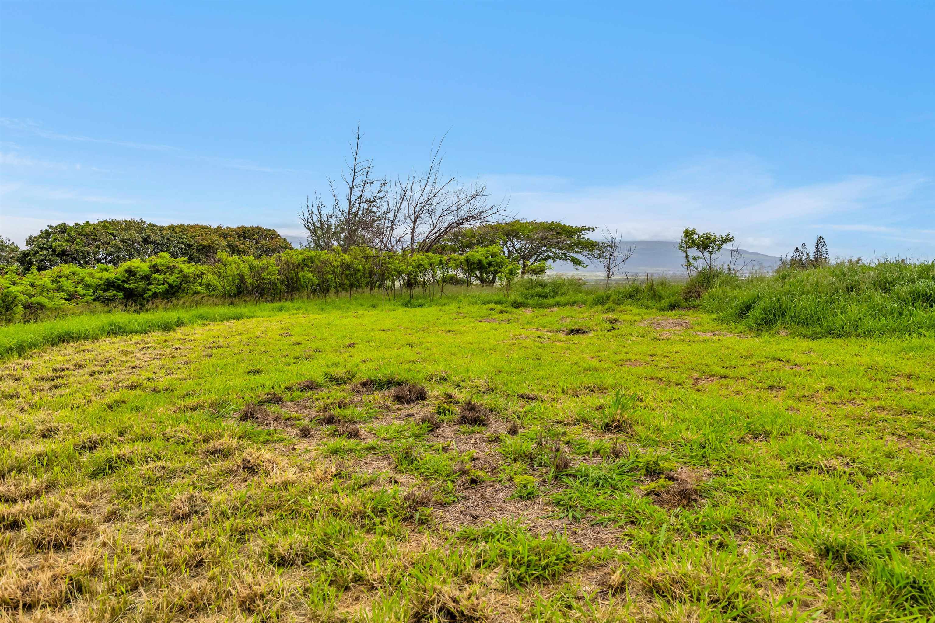 1482 Honoapiilani Hwy