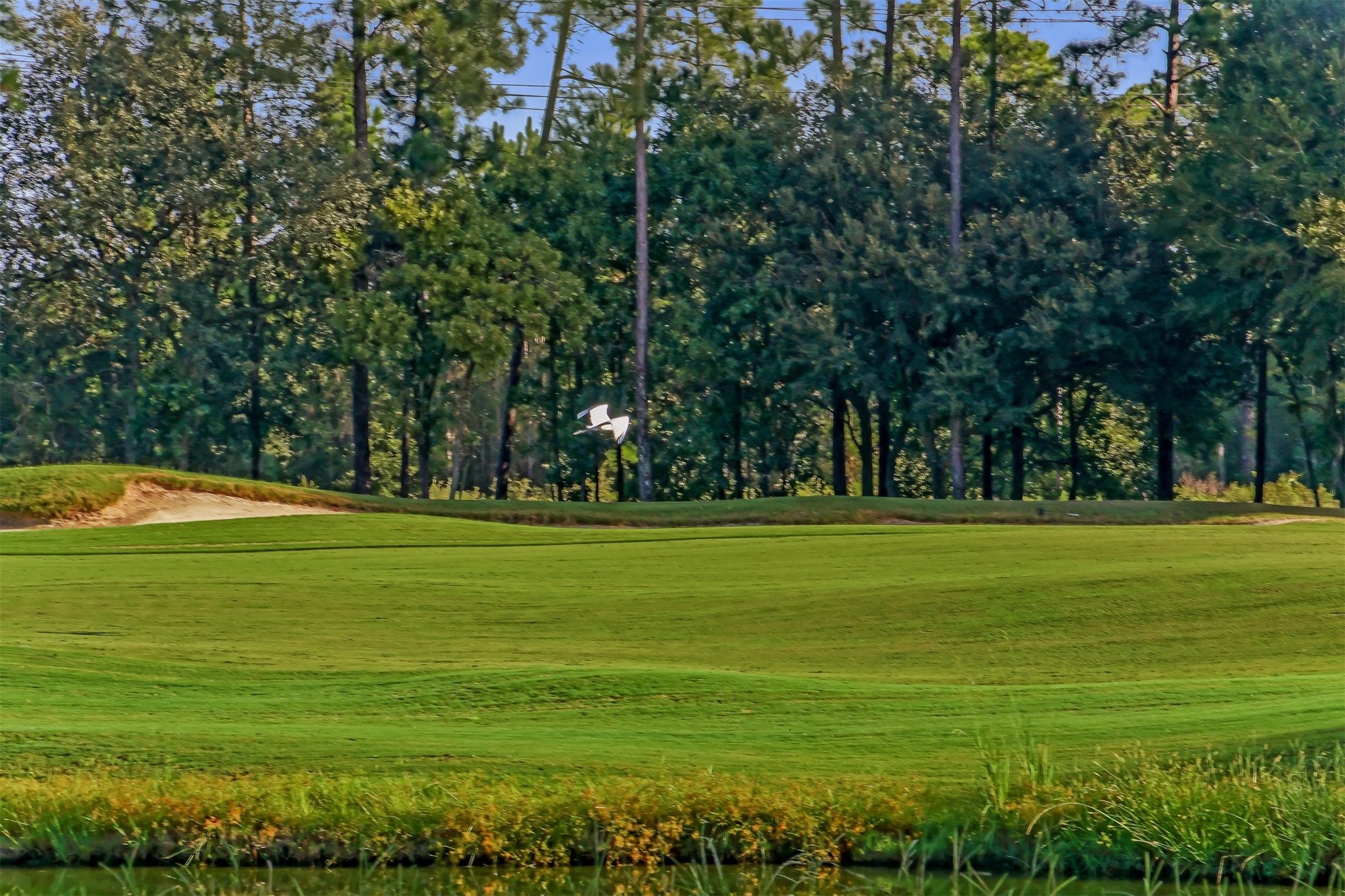 95219 BERMUDA DRIVE
