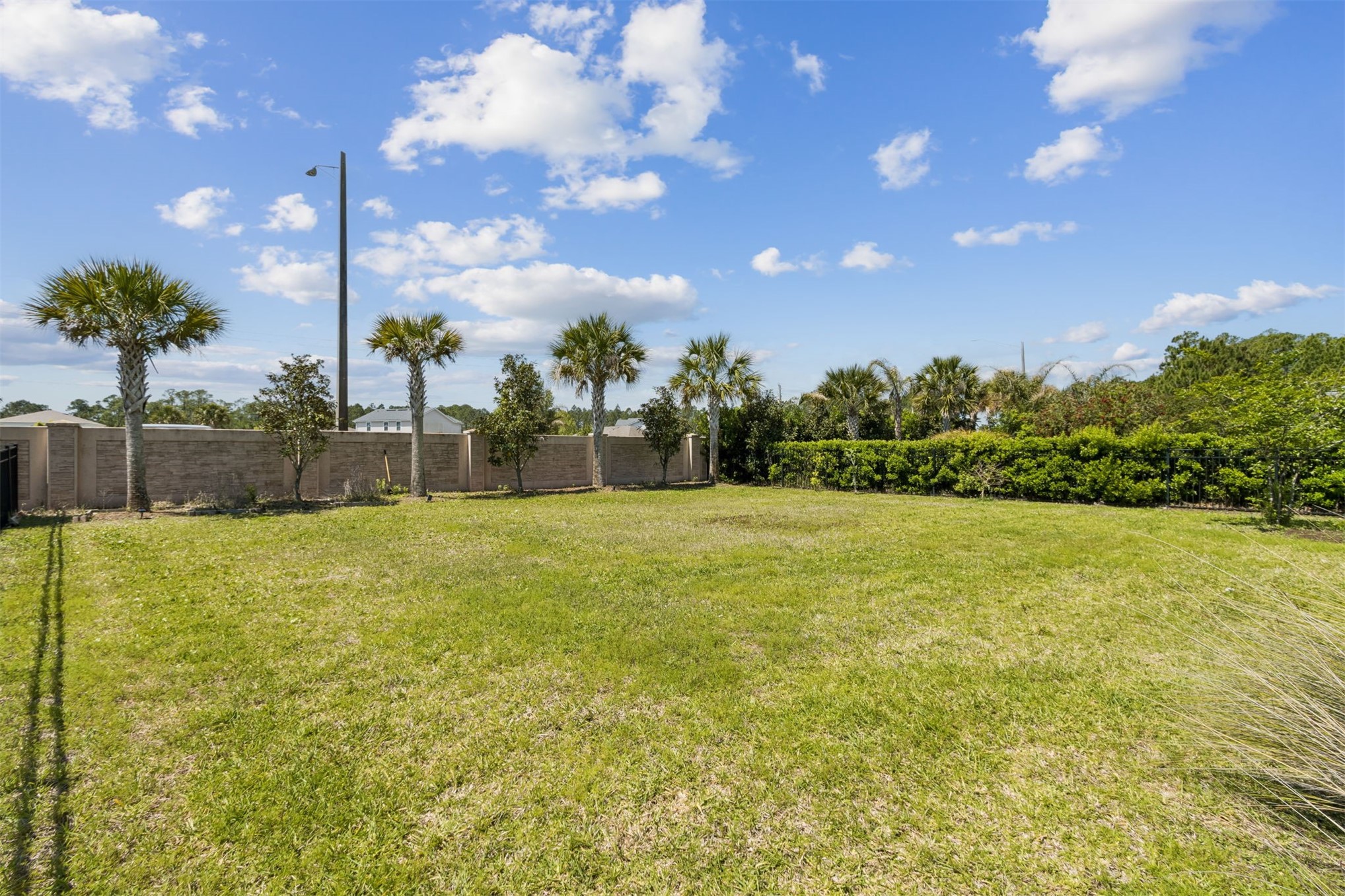 95169 POPLAR