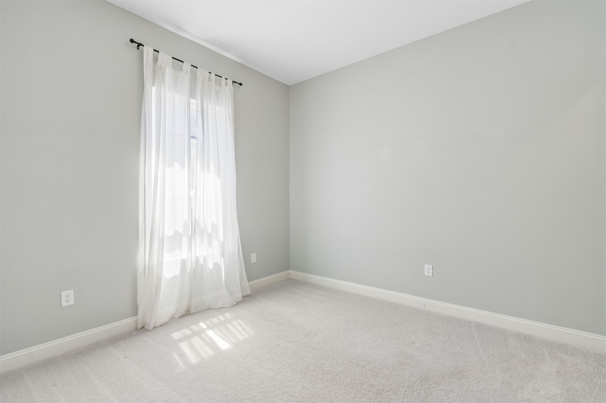 95169 POPLAR