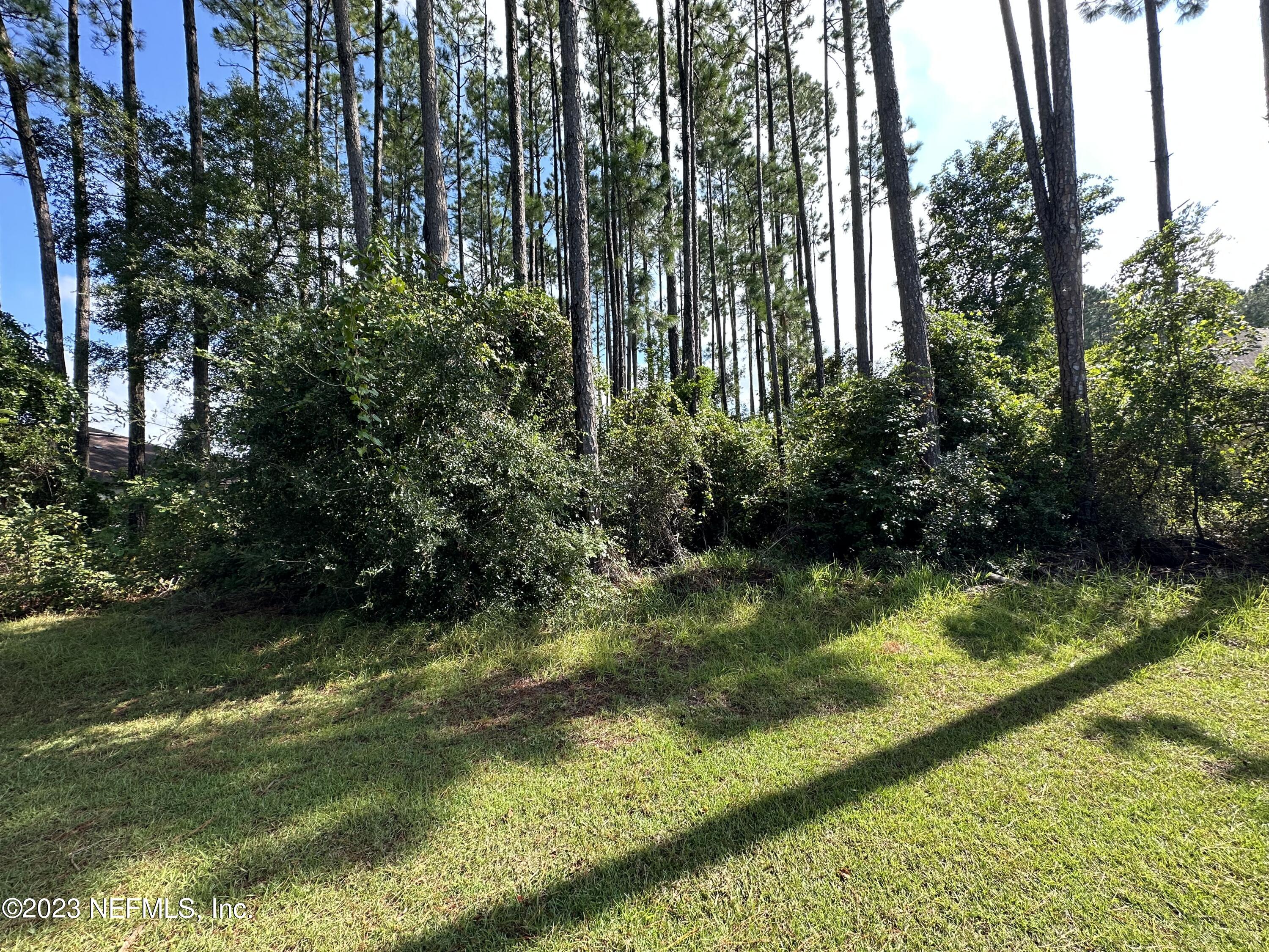 85107 NAPEAGUE Drive
