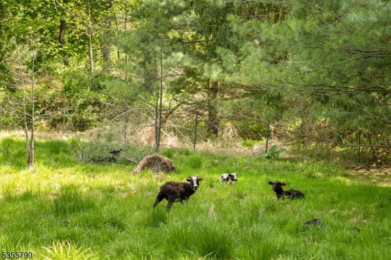 416 Rosemont Ringoes Rd