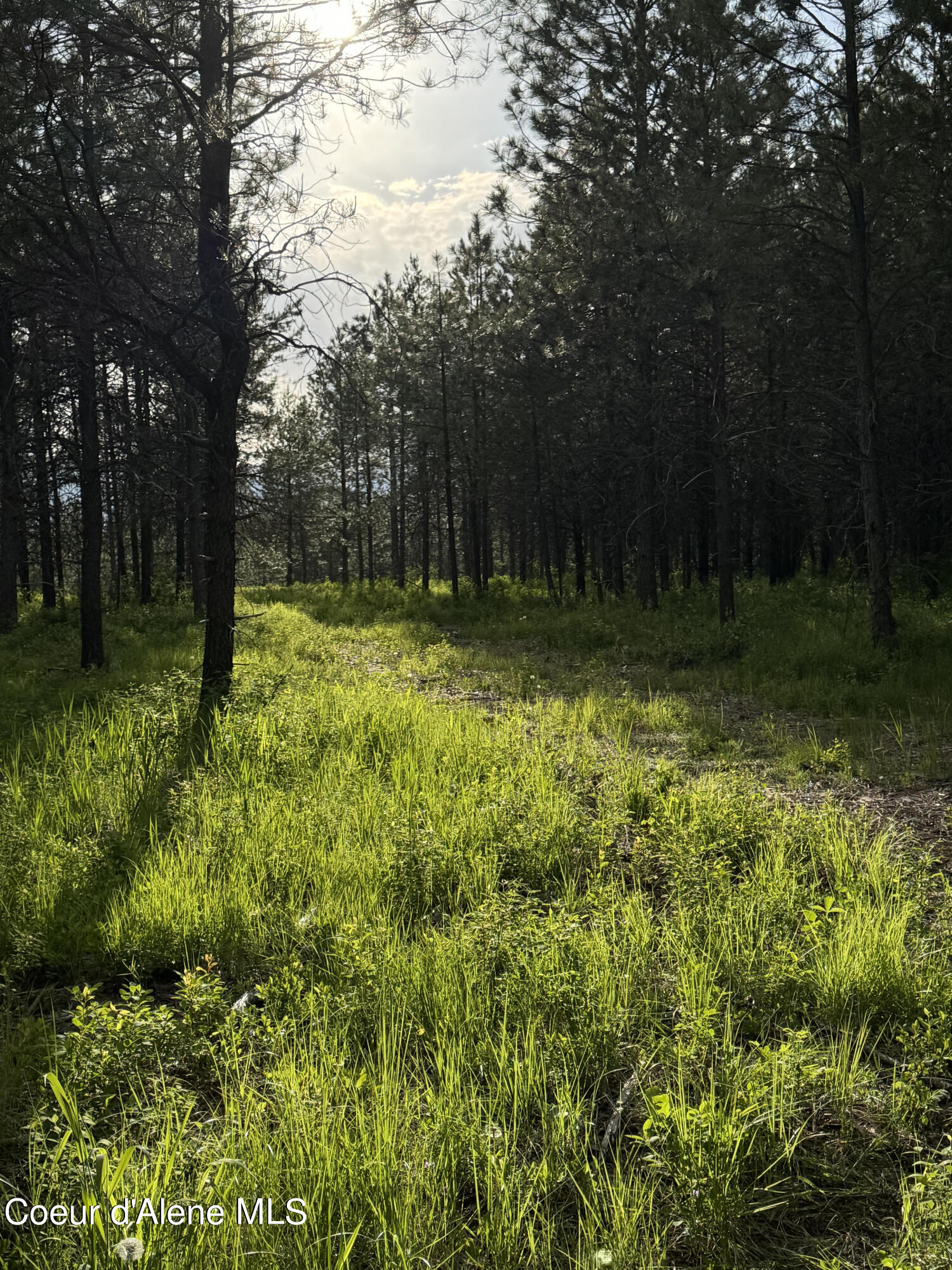 NKA Lot 3 Block 1 Aubrey Estates