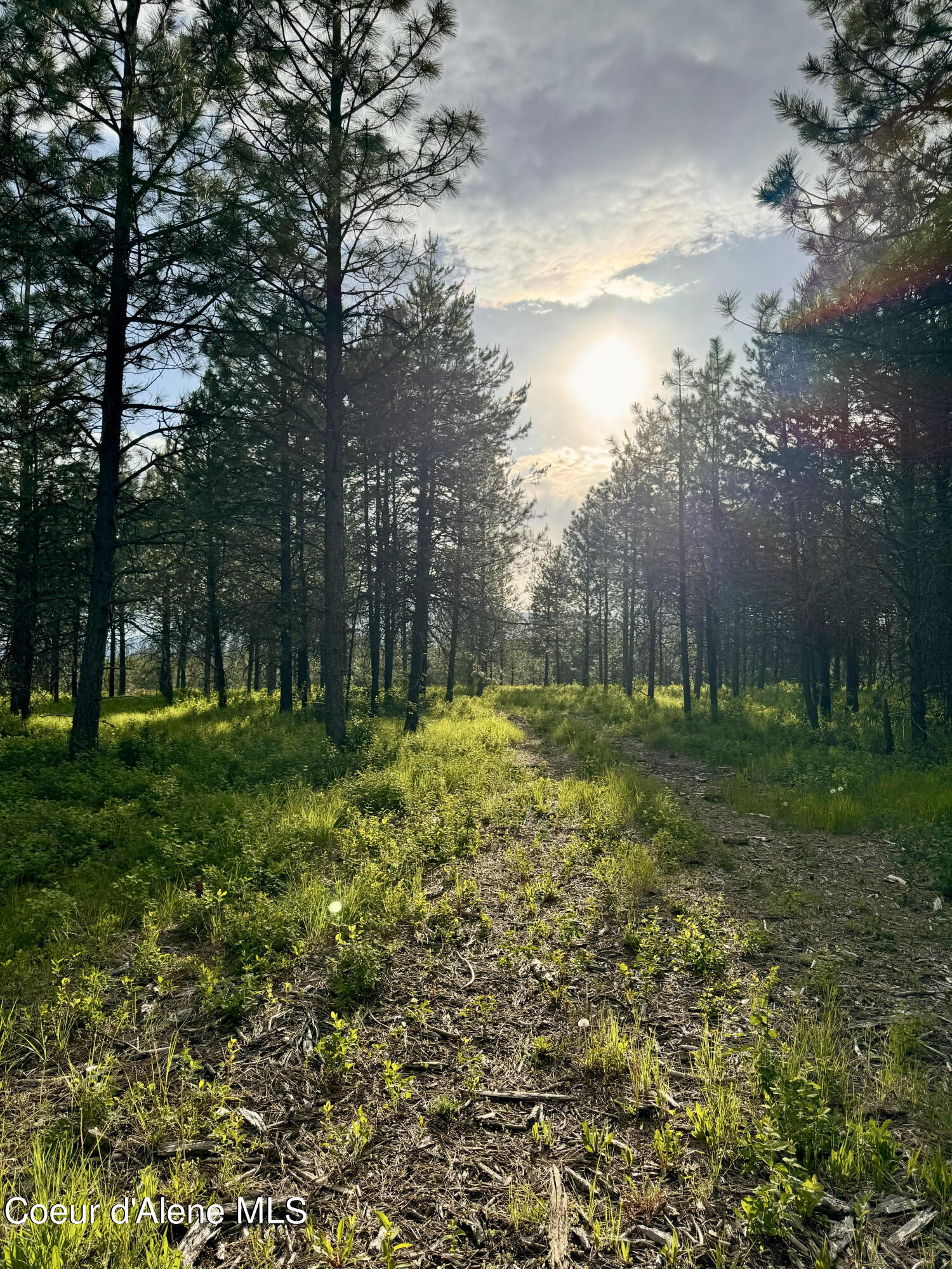 NKA Lot 3 Block 1 Aubrey Estates