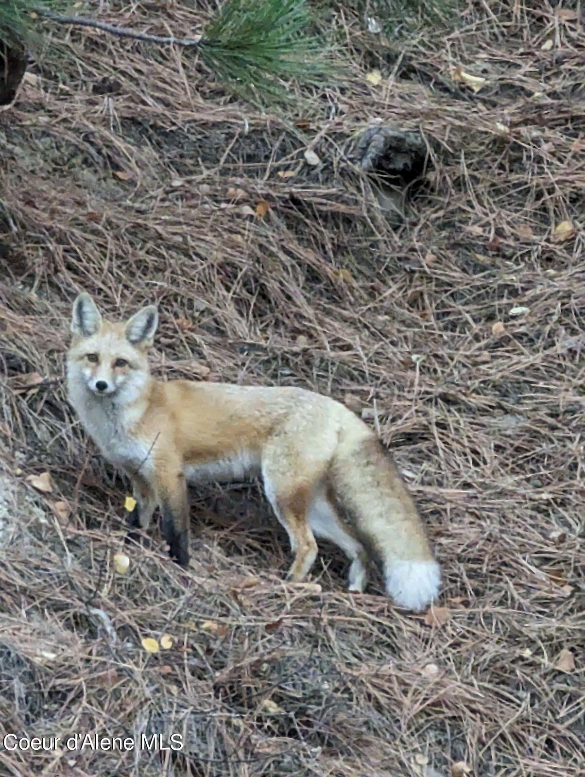 2840 S Silver Beach RD, Coeur d'Alene