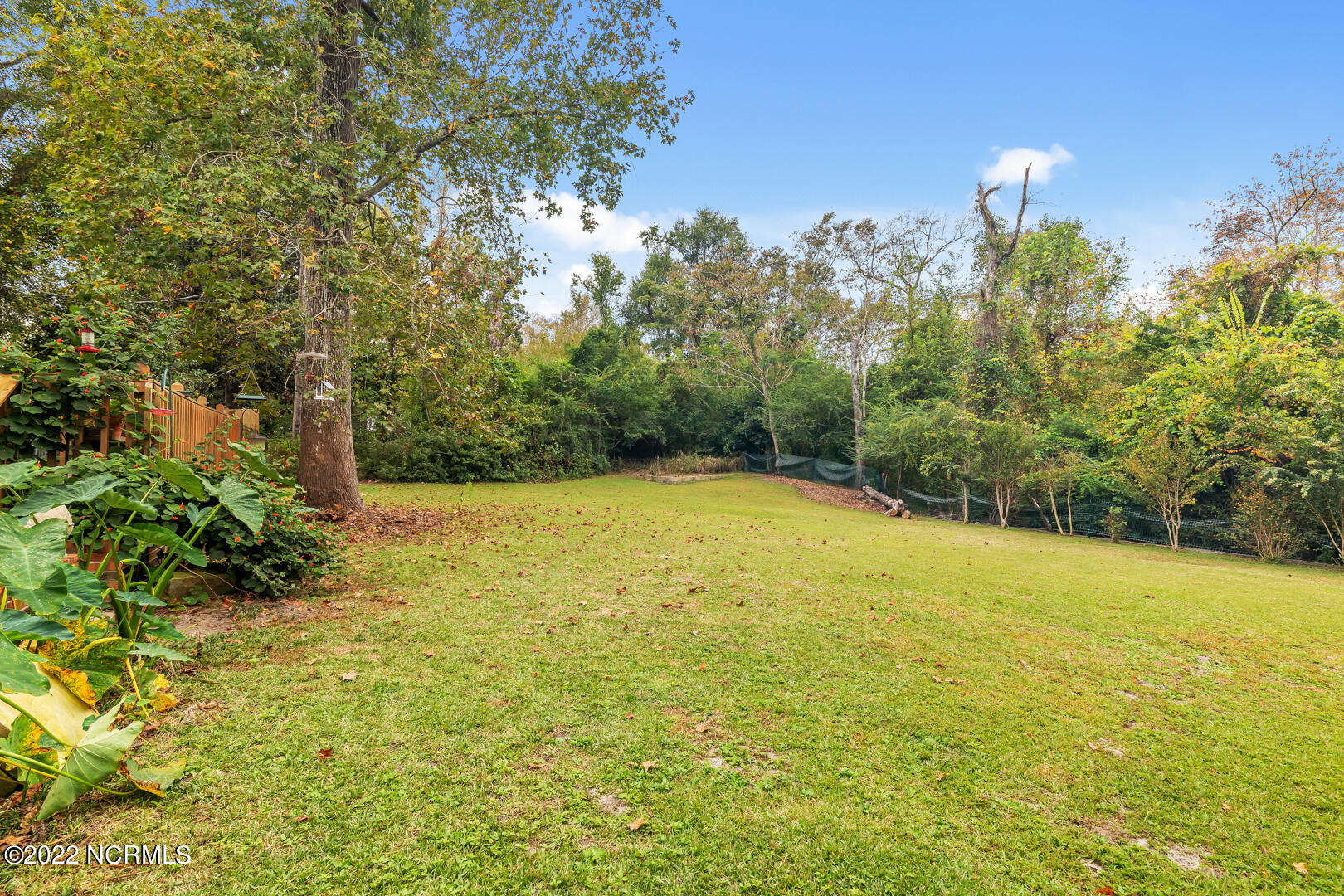 1411 Cando Place