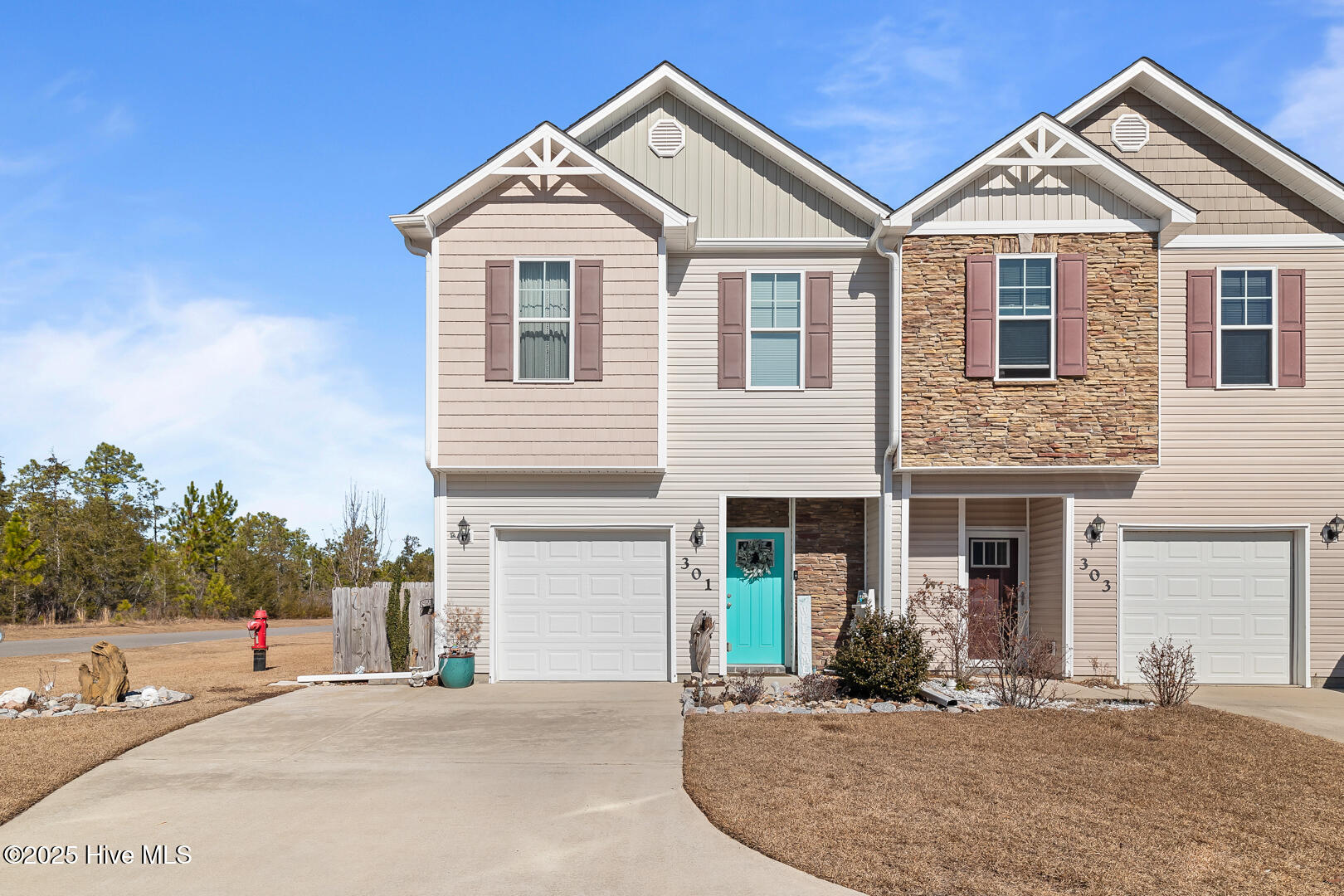 301 Frisco Way