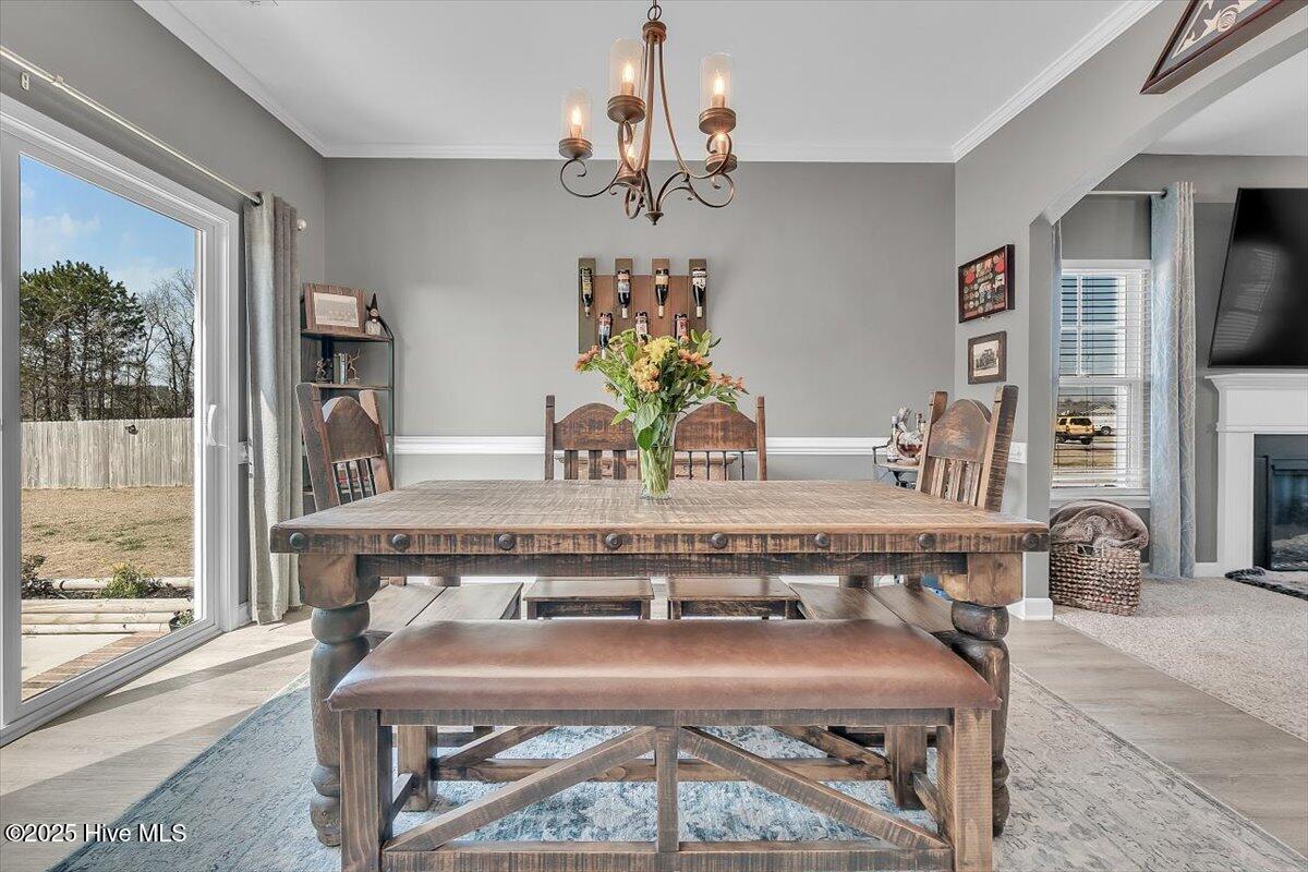 113 Backfield Place