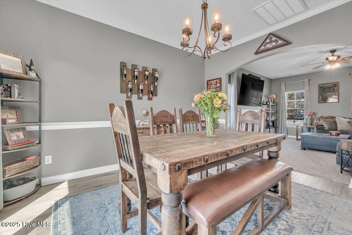 113 Backfield Place