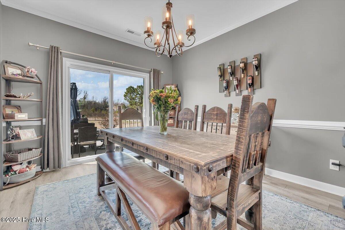 113 Backfield Place