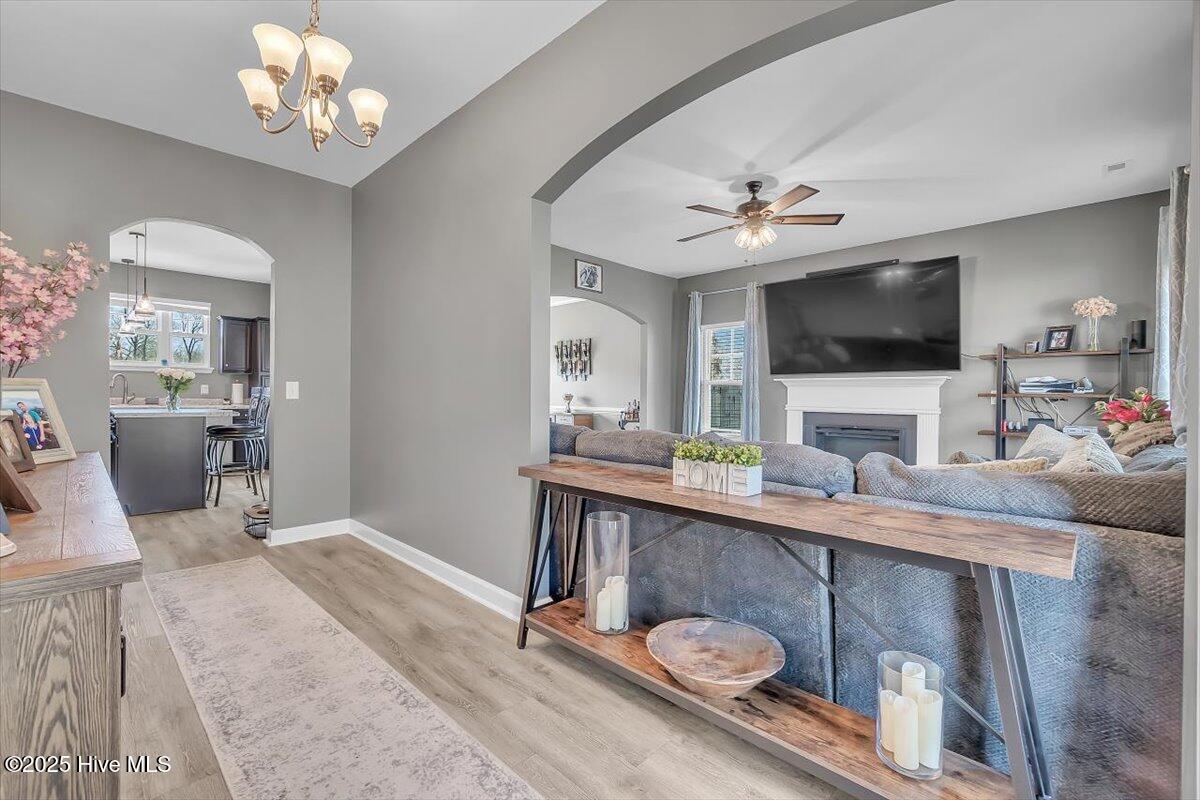 113 Backfield Place