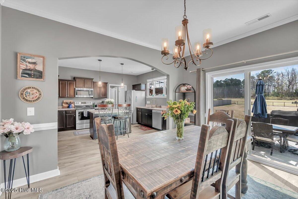 113 Backfield Place