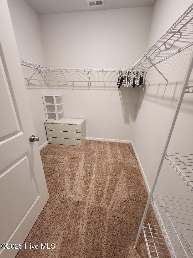 305 Ginger Drive