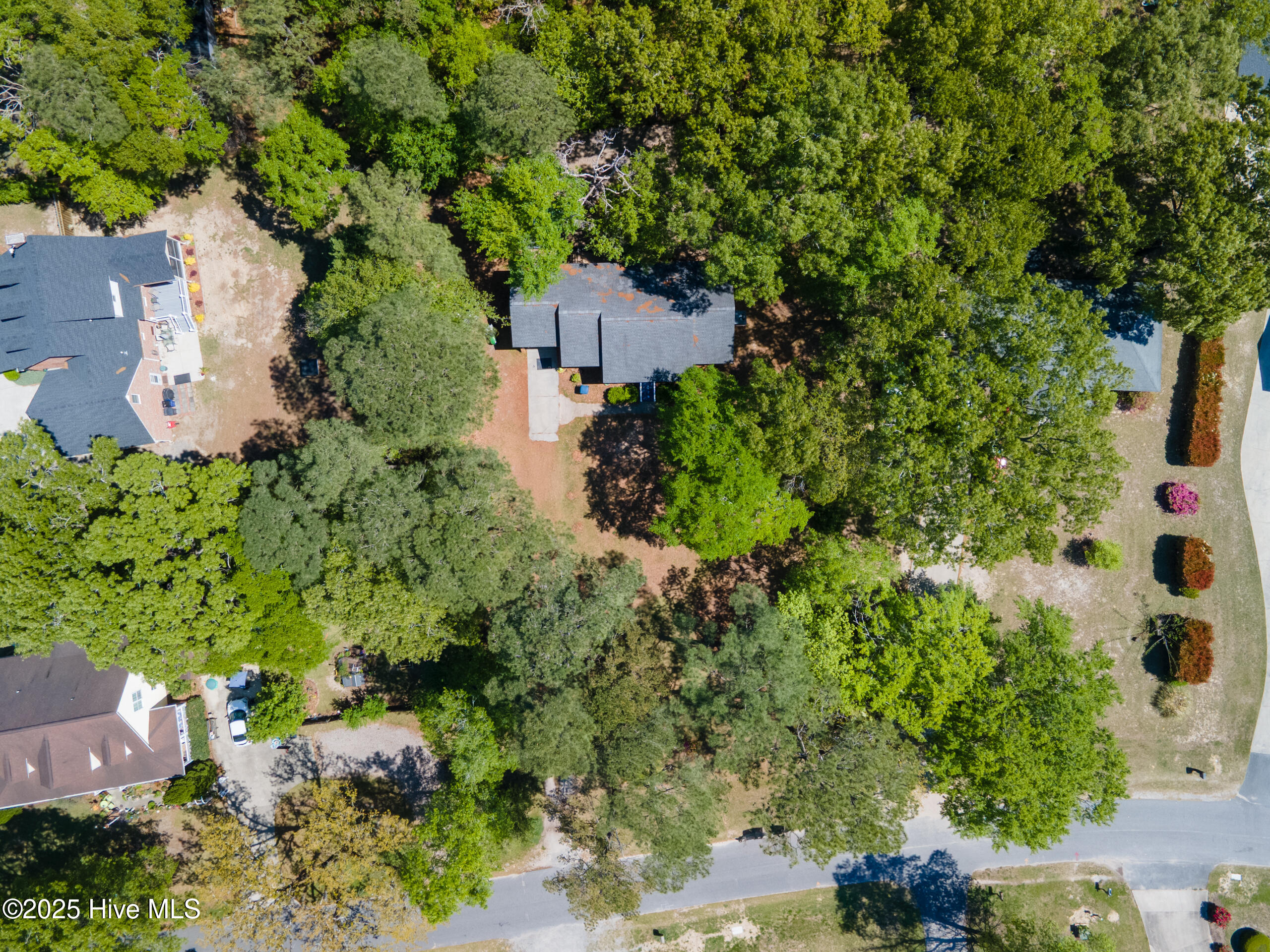 103 Arbor Drive