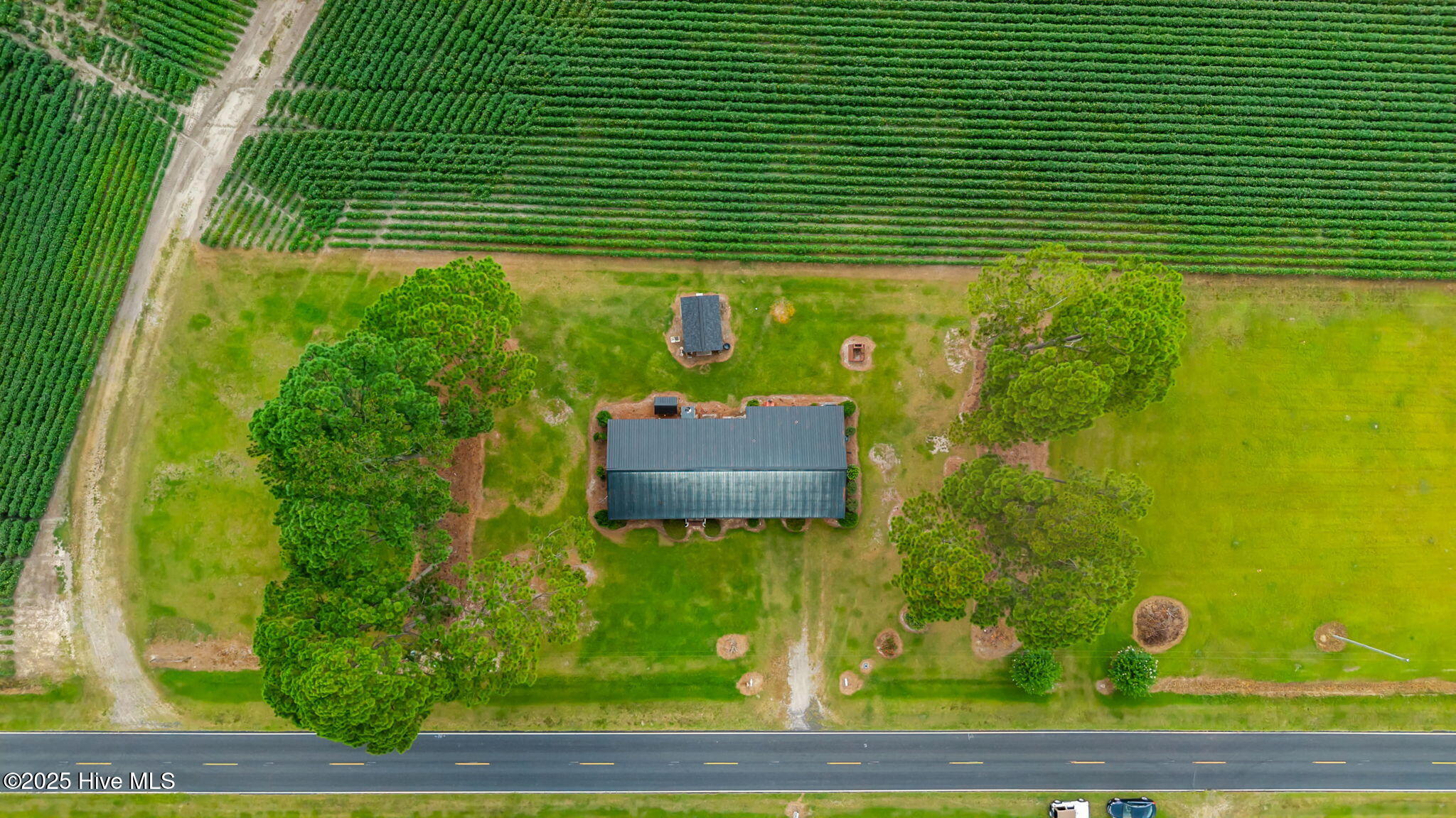 1955 Jonestown Road