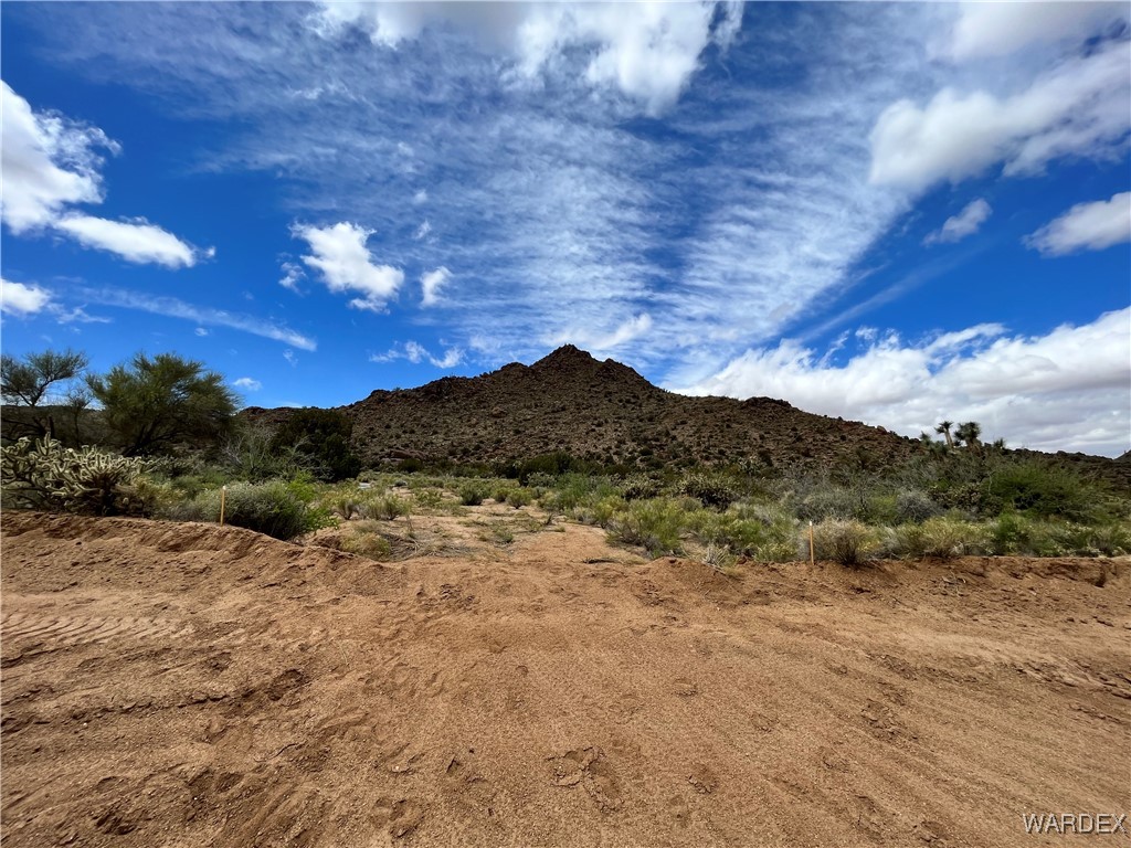 17387 S Alamo Road