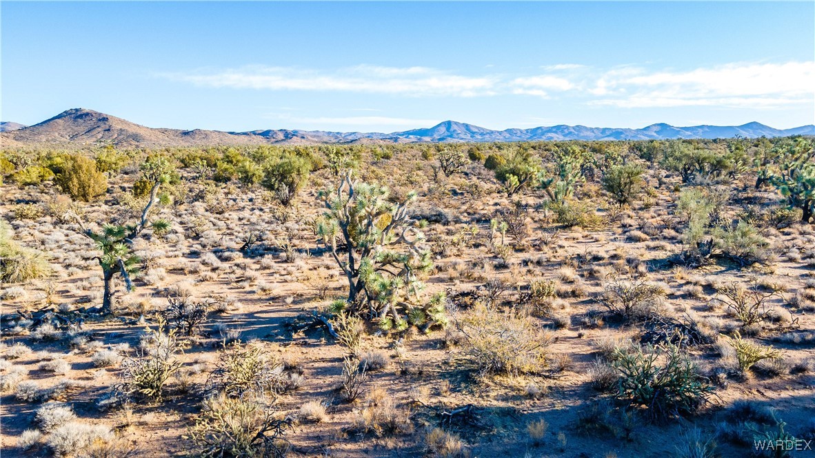 121-18-010 Bonanza Road