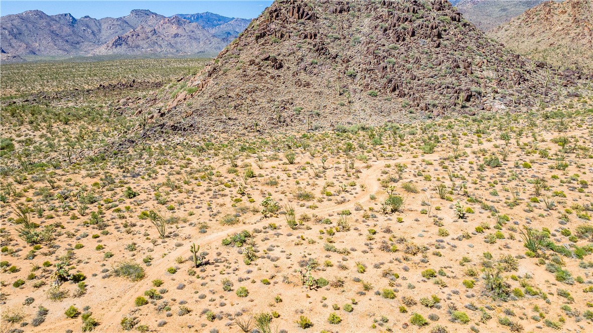 0 Allison / Foothills
