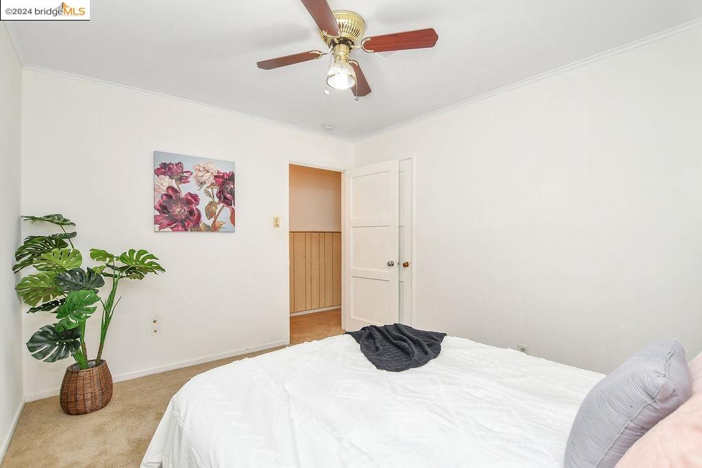428 Wisteria Dr