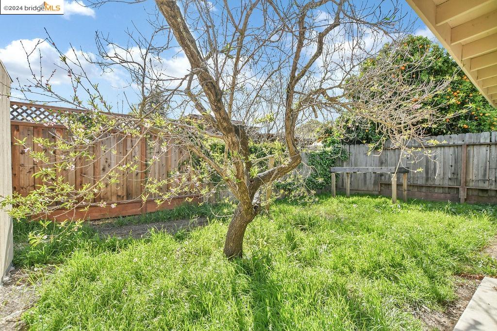 428 Wisteria Dr