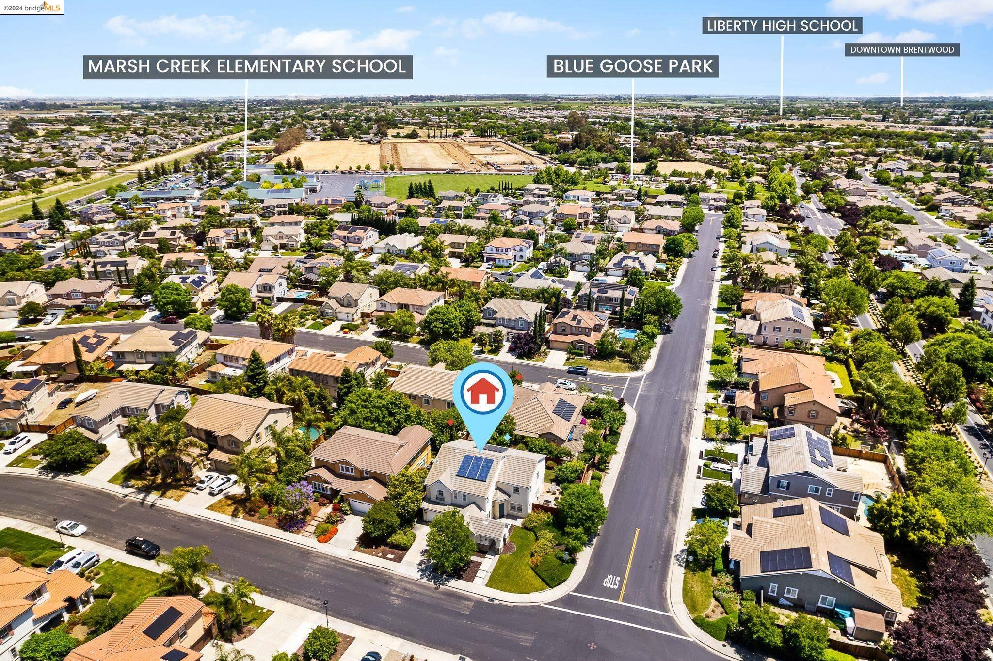 1177 Pimento Dr