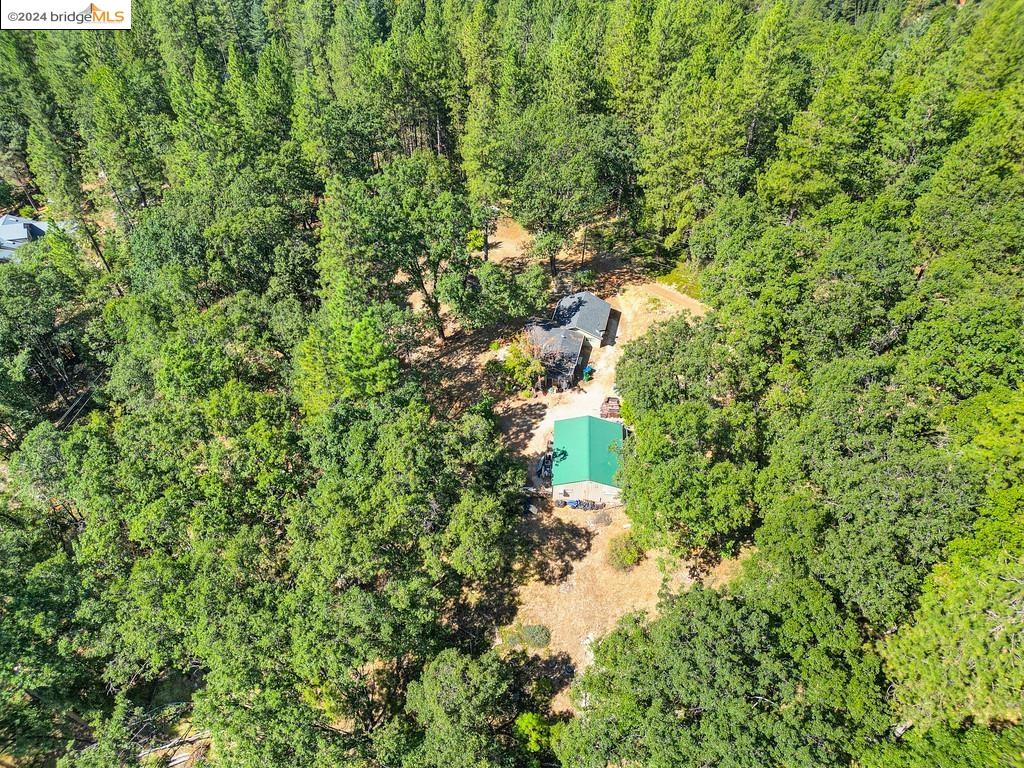 17456 Knoll Top Dr