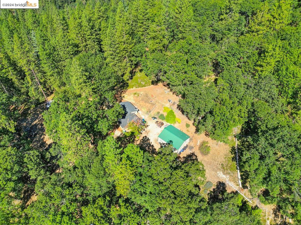 17456 Knoll Top Dr