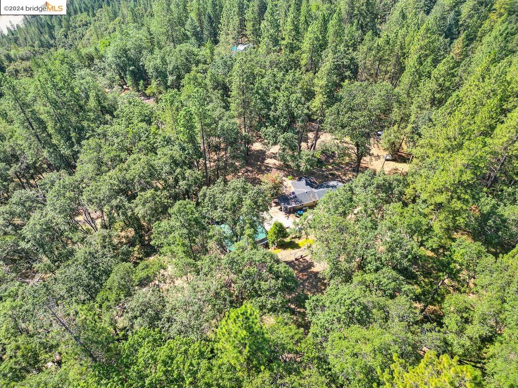 17456 Knoll Top Dr