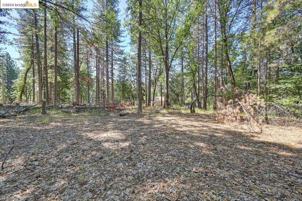 17456 Knoll Top Dr