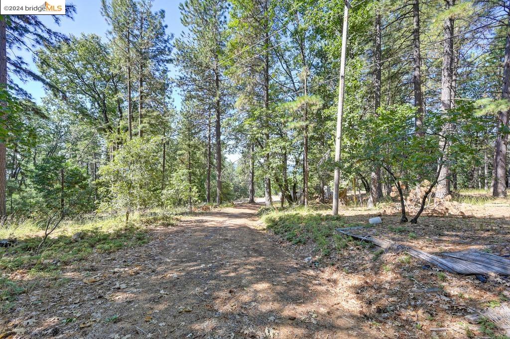 17456 Knoll Top Dr