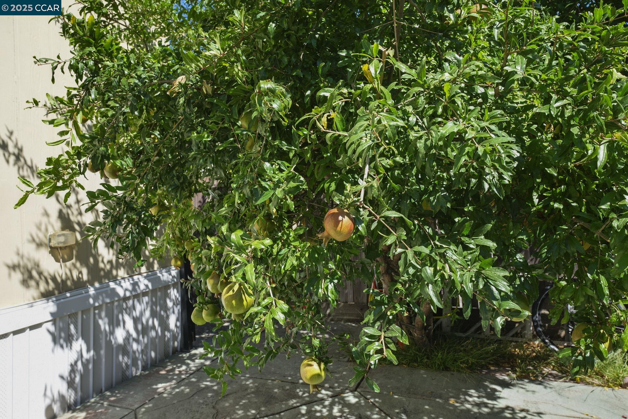 55 Pacifica Ave # 96