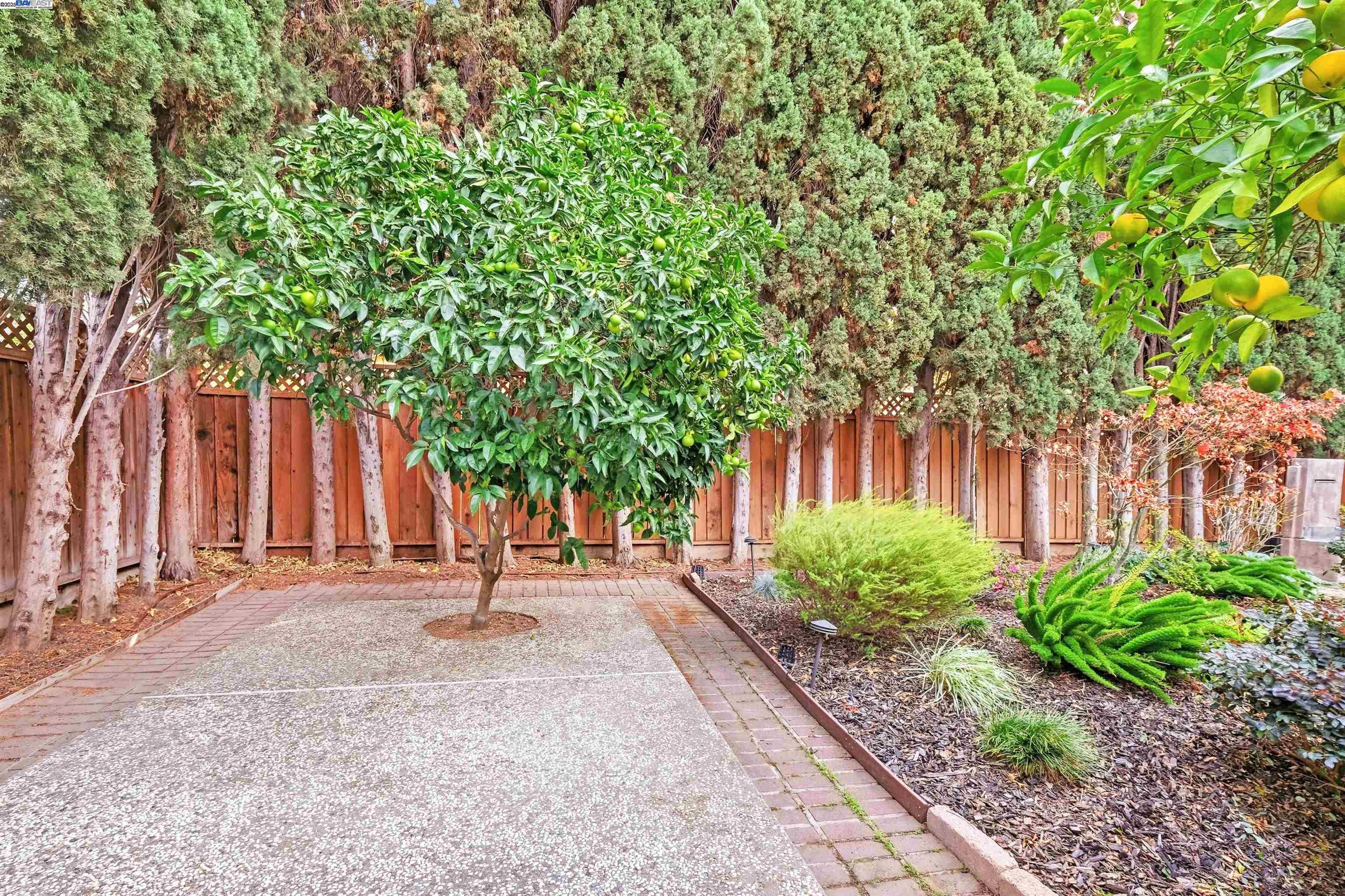 1180 Clay Ct