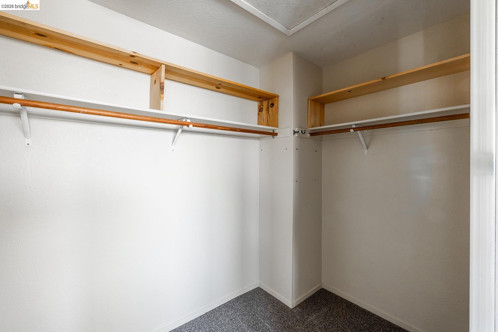 5037 Bronco Court
