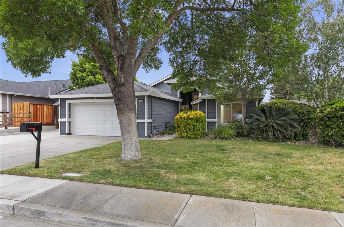 3819 Pato Lane